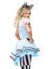 LEG AVENUE Psychedelic Alice Apron Dress with Choker and Headset Size Small Costume, Blue/Black, Women's,