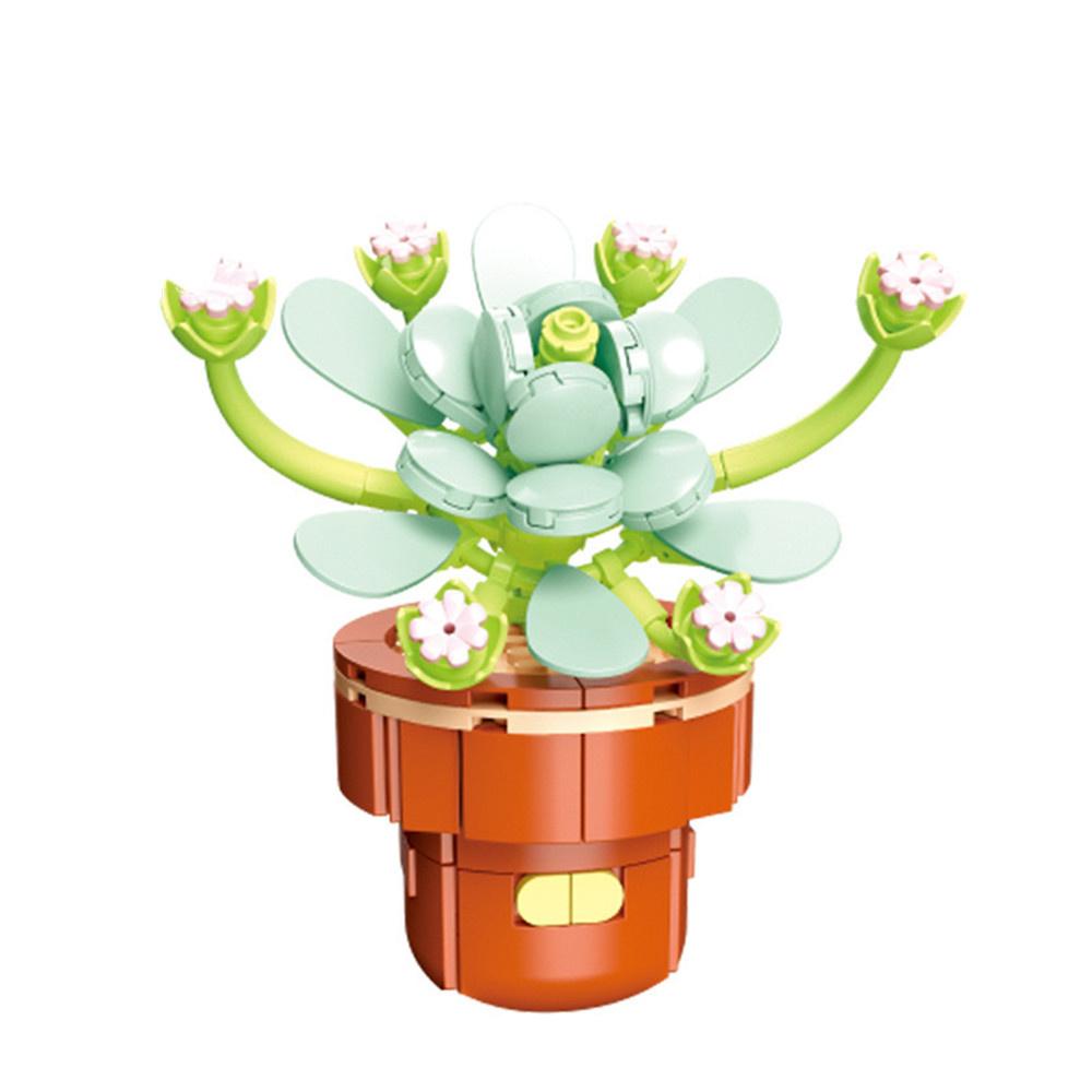 High-Quality Eternal High-Quality Flower High-Quality Potted High-Quality Plant High-Quality Succulent High-Quality Plants High-Quality Educational