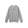 Sweatshirts Men's Gray Crew Neck Moderate Regular HE4351