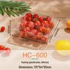 Clear Rectangular Disposable Food Containers with Lids