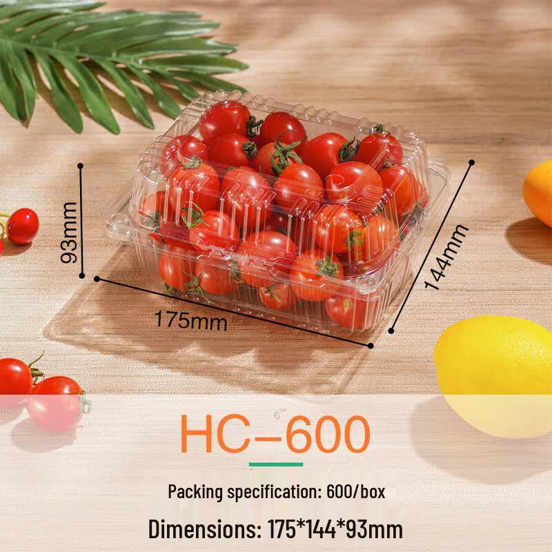 Clear Rectangular Disposable Food Containers with Lids