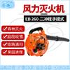 Scule electrice – Suflante și accesorii