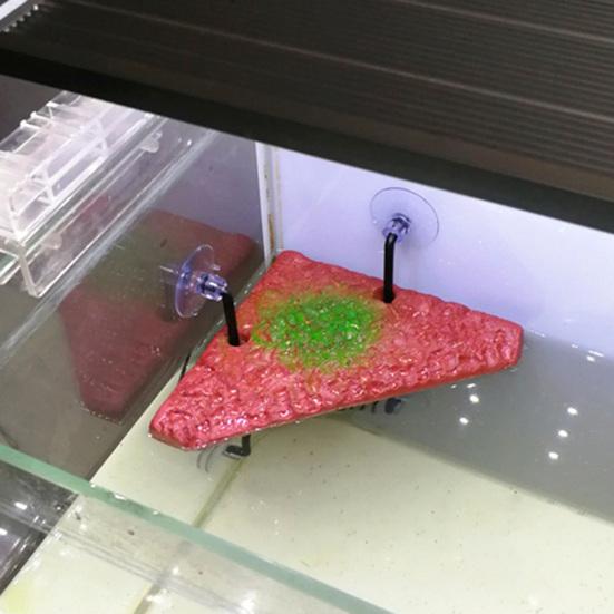1 Set Tortoise Terrace Floating Island Design Simple Installing Bakelite Amphibian Climbing Platform for Fish Bowl