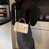 Premium Texture Handbag Women's New Summer Versatile Messenger Bag Small Bag Fashion Small Square Bag