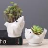 Creative Shark Ceramic Succulent Planter with Tray - Unique Animal Shape Flower Pot for Cactus/Bonsai/Indoor Plants - H