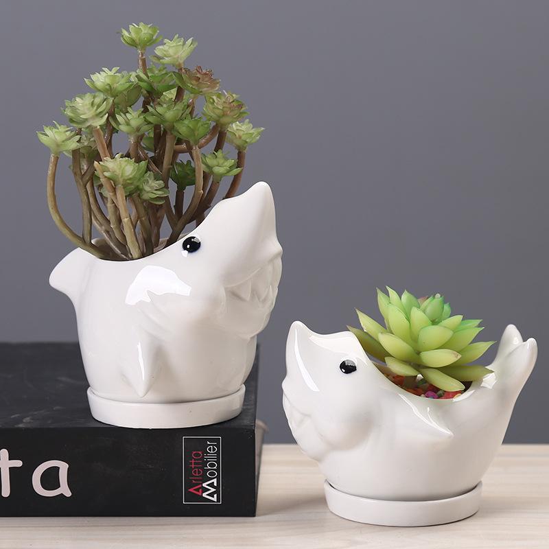 Creative Shark Ceramic Succulent Planter with Tray - Unique Animal Shape Flower Pot for Cactus/Bonsai/Indoor Plants - H