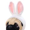 Stuffed Plush Lovely Puppy Pet Toys Plush Animal Toys Children Kids Birthday Christmas Gifts