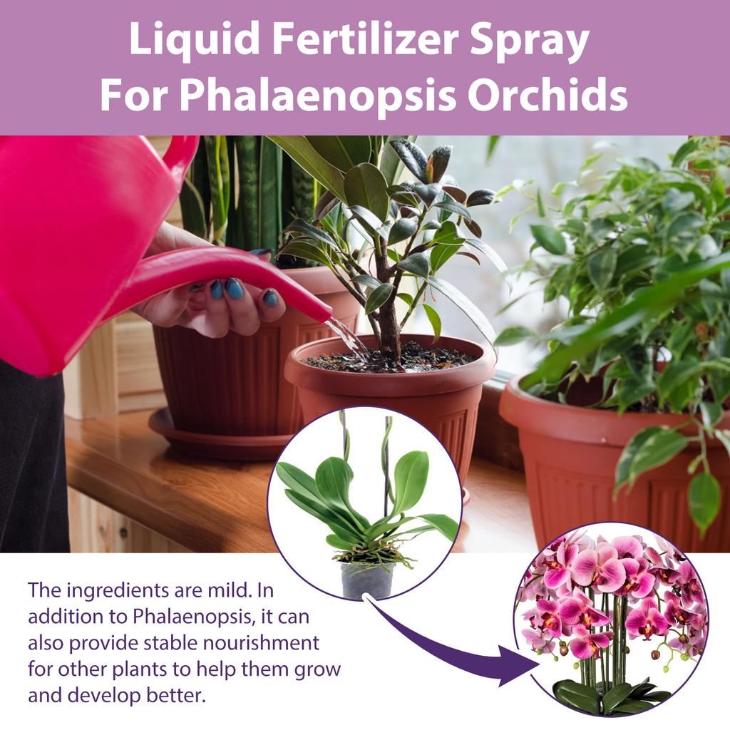 Spray Booster Fioritura Orchidee 100ml - Concime Professionale per Orchidee, Nebulizzazione Nutriente per la Crescita delle Foglie, Supporta lo Sviluppo Sano della Pianta