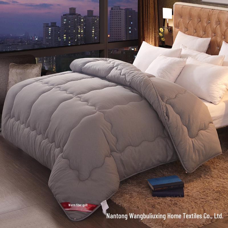 Brushed Comforter: Thickened Silk Cotton Quilt for All Seasons