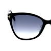 Tom Ford Womens/Ladies Ani Shiny Sunglasses
