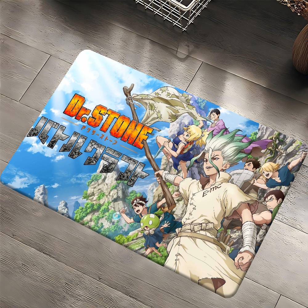 D-Dr. Stone Door Mat Nordic Style Bedroom Living Room Doormat Home Balcony Anti-Slip Alfombra