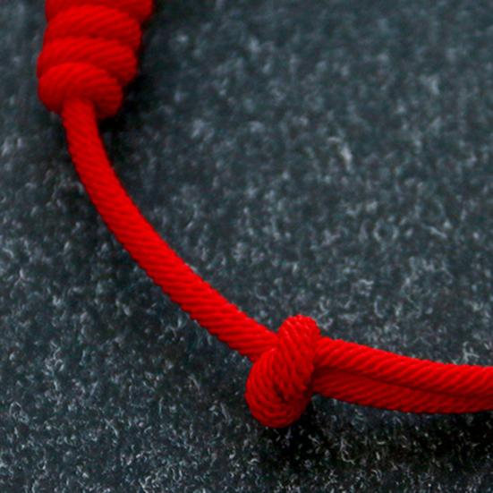 Pet Collar Adjustable Handmade Braided with Pendant Chinese Style Lion Small Dog Puppy Cat Necklace for Photograph
