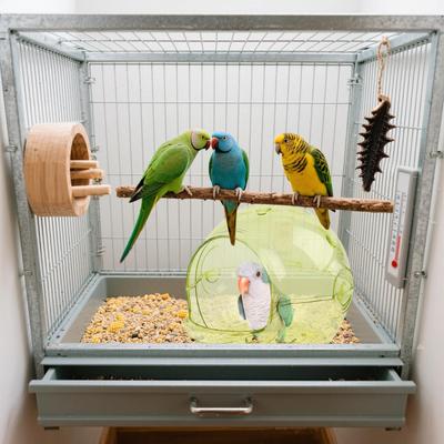 Bird Nest Bird Breeding Nest Hatch House Cage Accessories Shelter Birdhouse For Cockatiel Lovebird Finch Budgies Canary Hamster