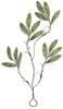Gałązka Oliwna Efekt Lodu Z Kryształkami 40Cm