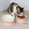 Anti-Tip Tilted Pet Bowl Adjustable Angle Neck Care Bowl Food & Water Bowl  Neck Protection