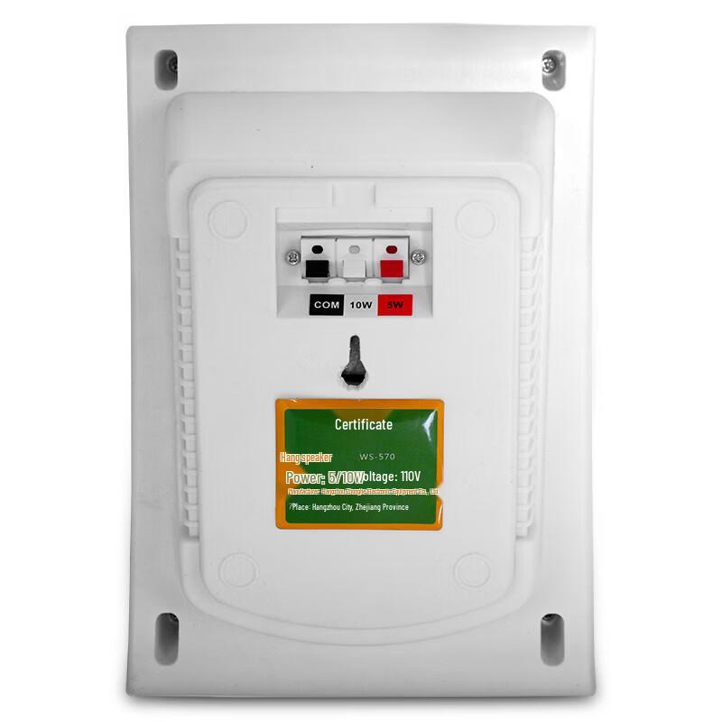 Diyou 570 Commercial Wall-mounted Speaker CN Plug (adapter Included)