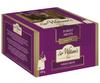 Sir william's tea forest fruits 50x2,4g