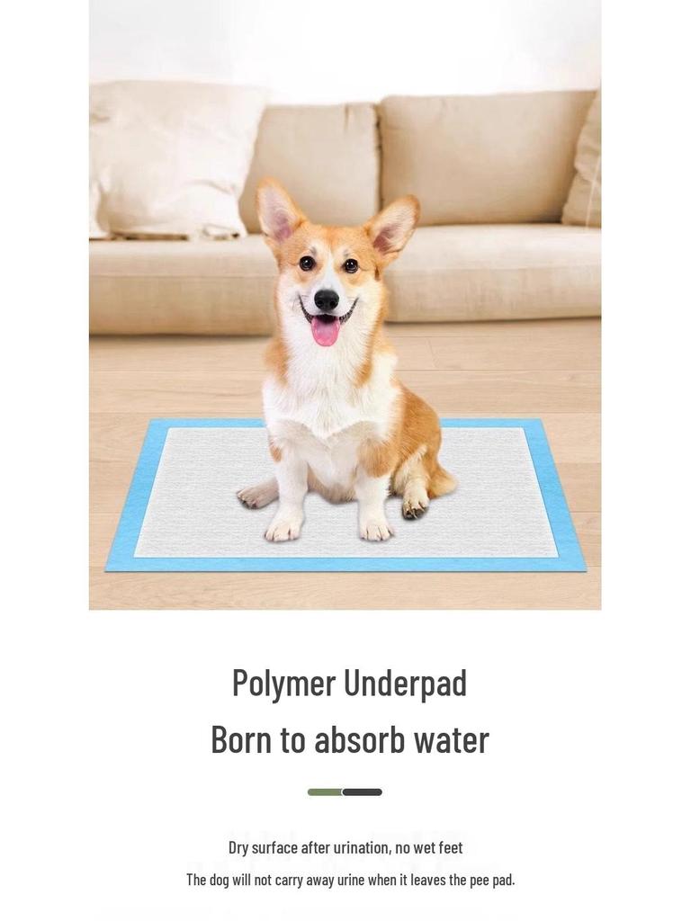 Deodorizing Thickened Pet Pee Pads for Dogs, Cats & Rabbits - Absorbent, Disposable, Leak-Proof Urine Pads