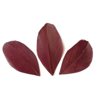 50 Cut Feathers - Bordeaux Red 6 Cm