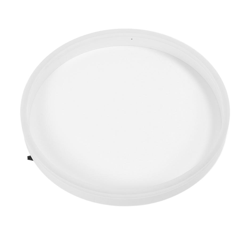 LED Ceiling Light Iron Acrylic Dimmable Round Flush Mount Modern Ceiling Light Fixture with APP