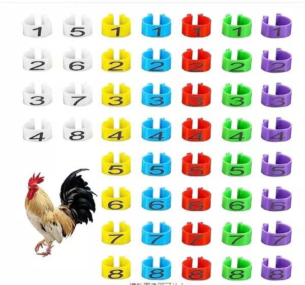 Poultry Marking Laser-Engraved Colored Leg Rings with Open Buckle