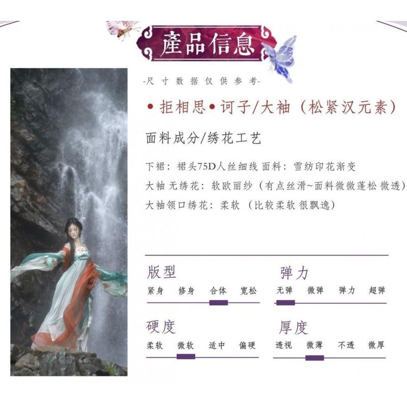 Womens Tang Dynasty Style Hanfu Set Embroidered Wide Sleeve Top Printed Skirt Chiffon Four Outfit