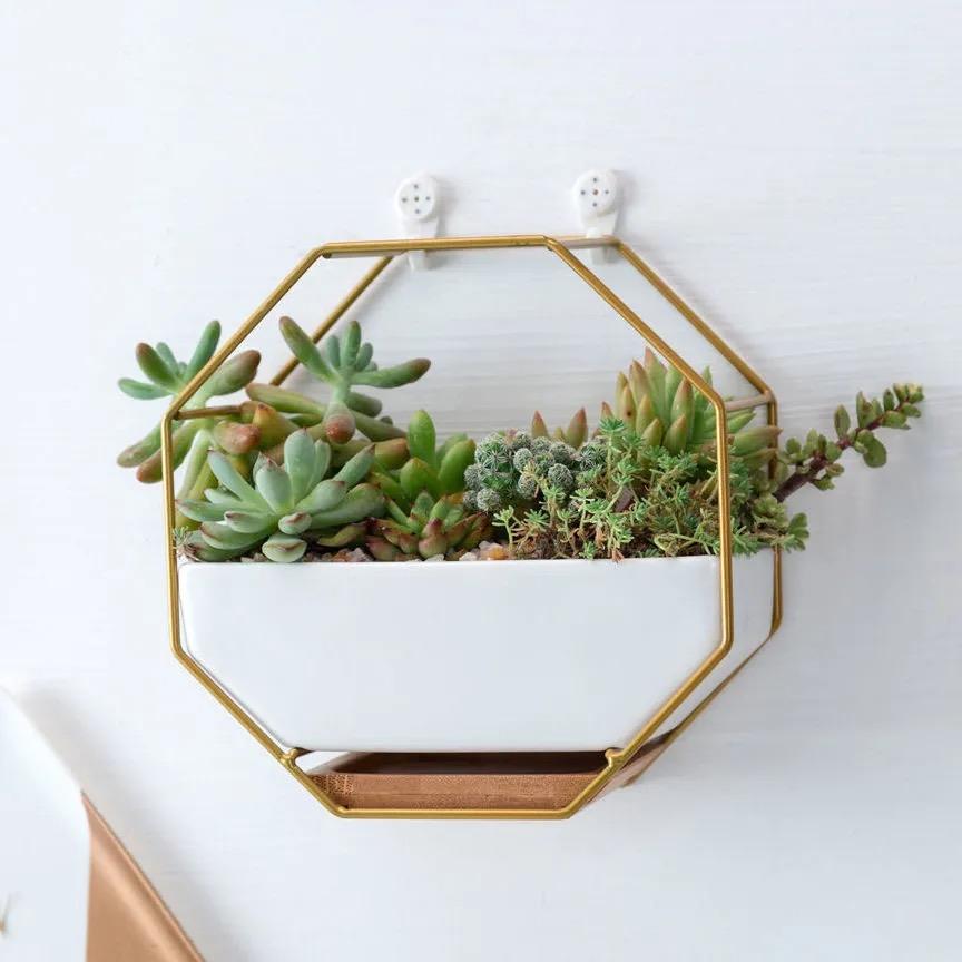 Octagonal Wall Hanging Porcelain Flower Pot – Succulent Planter for Home Decor
