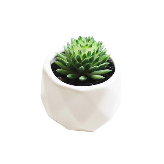 1 Adet Yapay Çiçek Etli Bitki Bonsai DIY Bahçe Ofis Ev Partisi Dekoru