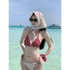Source Swimsuit Women's Sexy Polka Dot Bikini Split Swimsuit Neck Bikini Outdoor Swimsuit