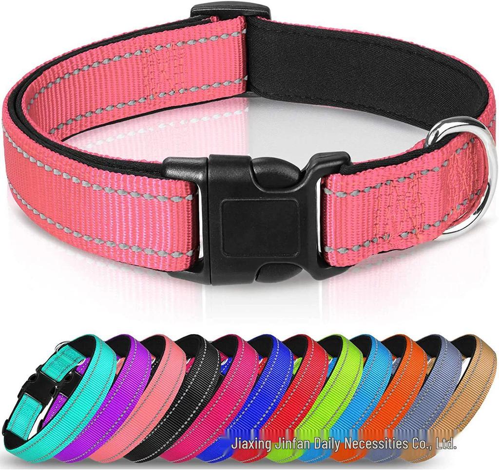 Ensemble Collier et Laisse pour Chien en Nylon Réfléchissant Réglable et Respirant - Taille Moyenne