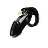 2026 New Model Chastity Cage: Sissy Chastity Lock—A Valentine's Day Gift for Adult Couples and Partners