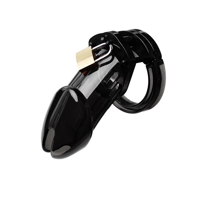 2026 New Model Chastity Cage: Sissy Chastity Lock—A Valentine's Day Gift for Adult Couples and Partners