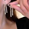 Silver Needle Elegant Diamond-encrusted Long Fringed Earrings Niche Temperament Versatile Earrings Simple Light Luxury High-end Earrings Women