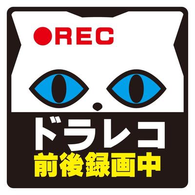 Acessórios de exterior – Adesivos para carros