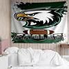 Philadelphia Eagles Tapestry Accessories Playroom Tapestry, for Bedroom,Livingroom, dormitory Room Wall Decor Fan Birthday Gifts