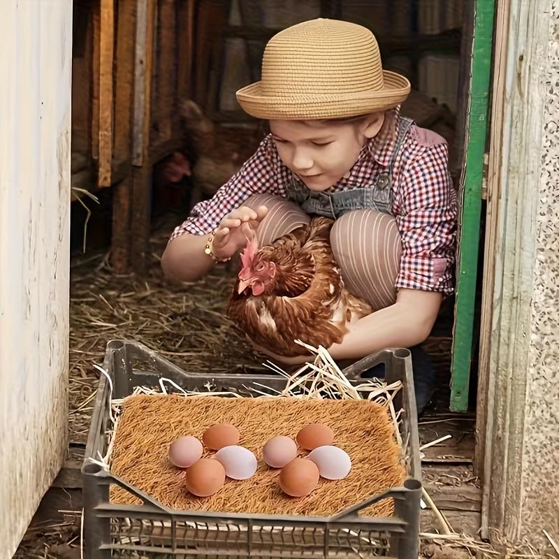 1pc Thick Washable Simulated Lawn Chicken Coop Mat Durable Indoor Egg Laying Mat For Chicken Coops Backyards Pet Gardens