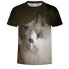 Summer Round Neck 3D Cute Cat Print Top Fashionable Casual Short Sleeved Men's T-shirts