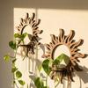 Wall Shelf Hydroponic Plant Frame Durable Wall-Mounted Plant Holder with Transparent Test Tube for Home Decor