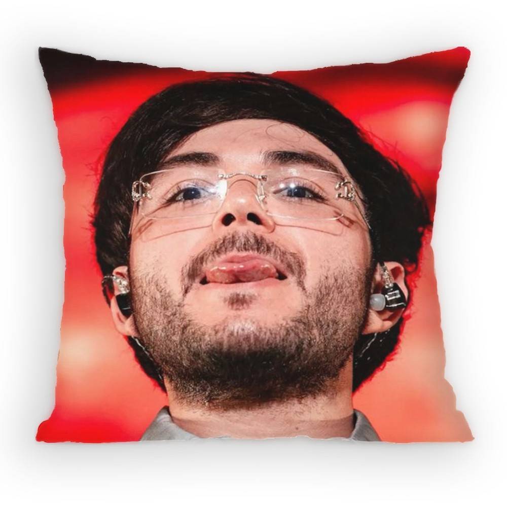 Singer Tito Double P Pillow Case Sofa Living Room Bedroom Headboard Backrest Cushion Square Cushion Nap Time