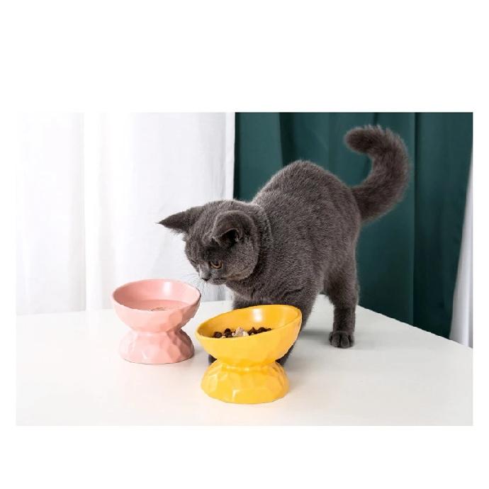 Fashion Ceramic Cat Bowl Protect Spine Oblique Mouth High-footed Dog Feeder Cat Food Bowl Water Bowls Pet Supplies Accessories