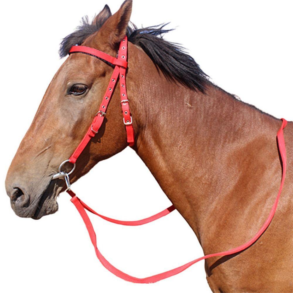 Adjustable Strap Horse Bridle Headband Comfortable Horse Neck Stretcher Horse Training Accessories
