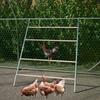 Animais de criação – Acessórios e jaulas para animais