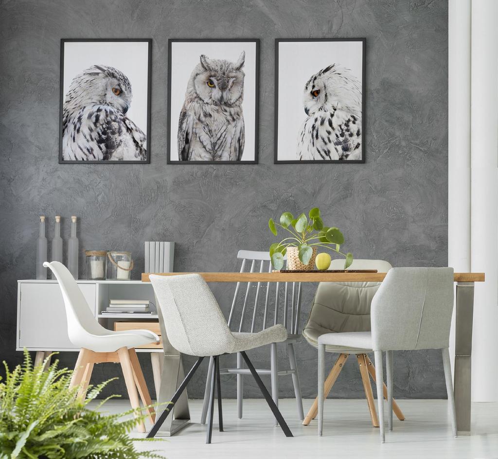 Picture, Poster In a Frame 33x43 Cm Owl P508