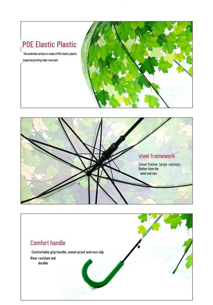 Korean Style Transparent Apollo Princess Mushroom Umbrella