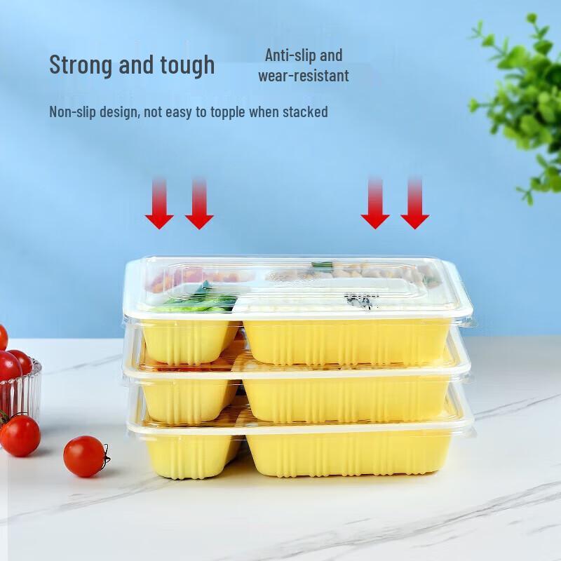 Microwaveable Disposable Compartmented Plastic Lunch Boxes