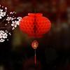 20pcs Traditional Chinese Red Paper Lantern For 2025 Chinese New Year Decoration Hang Waterproof Festival Lanterns One-Time Use