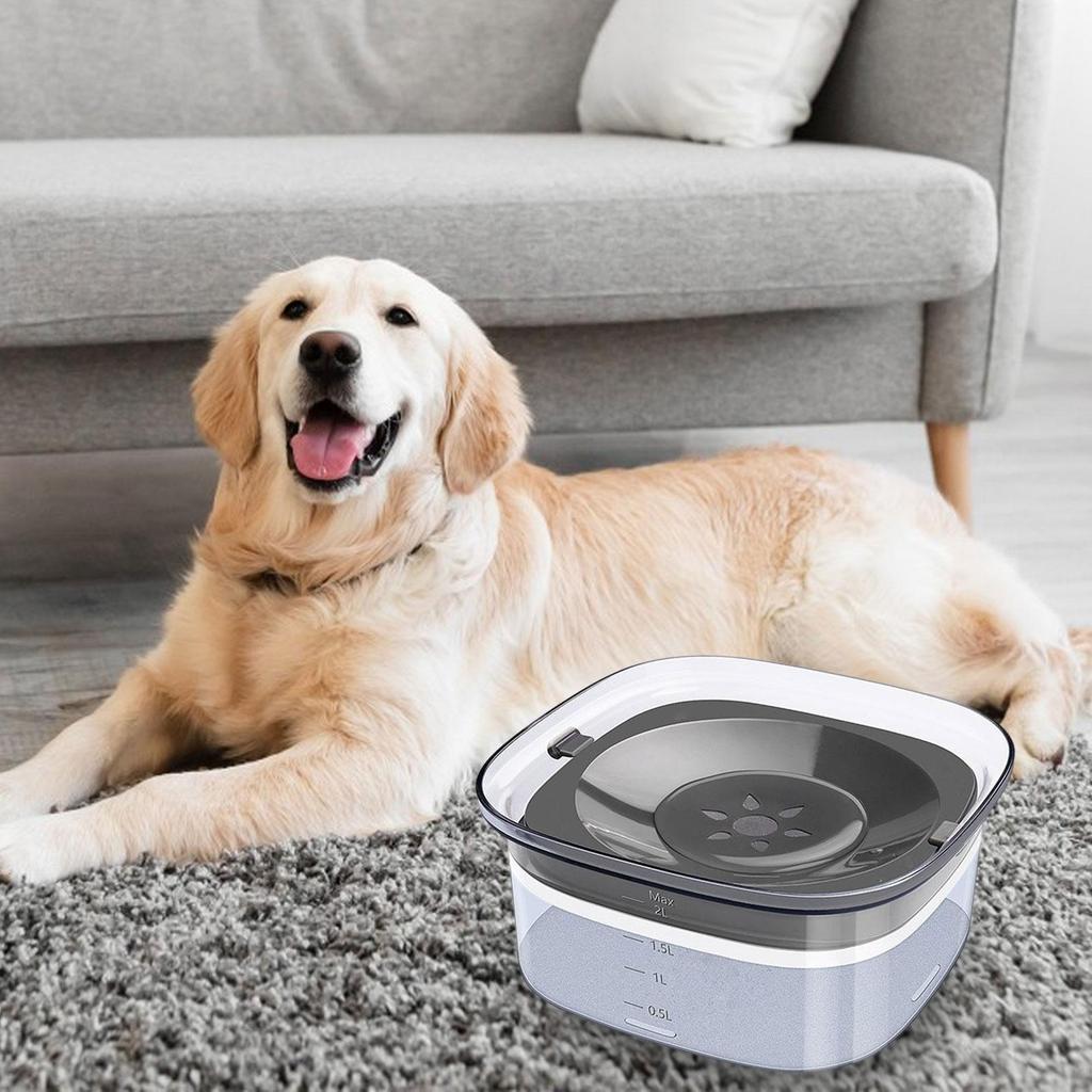 Pet Water Drinker Large Bowl Slow Feeder Spillproof Drinking Bowl for Dog and Cat Multiple Pet Households
