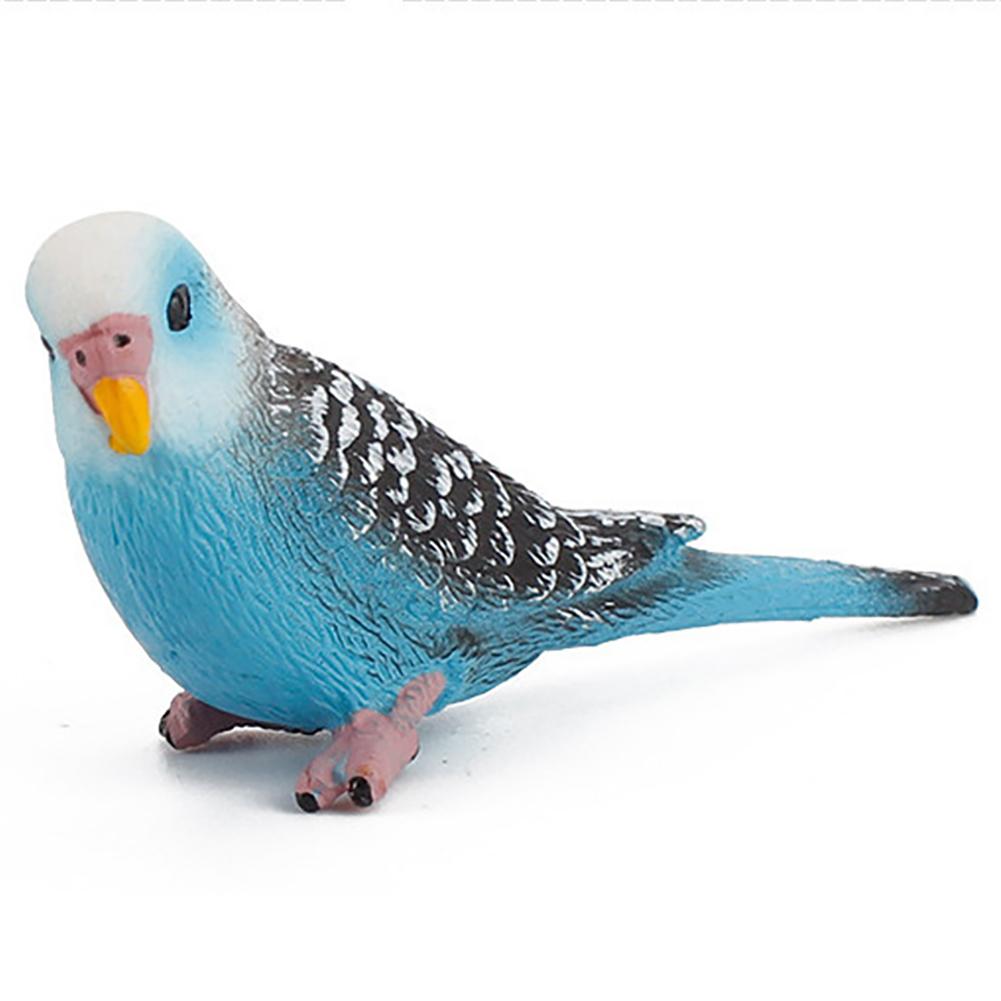 Simulation Bird Action Figures Parrot Macaws Budgerigar Lifelike Animals Model Kids Cognition Toys For Gifts