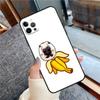 Walter Dog Meme Cute Phone Case For iPhone 16 15 14 13 12 11 Pro Max 12 13 mini XR 15 16 Plus 16e Cover Shell