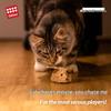 GiGwi Electric Rolling Mouse Cat Toy